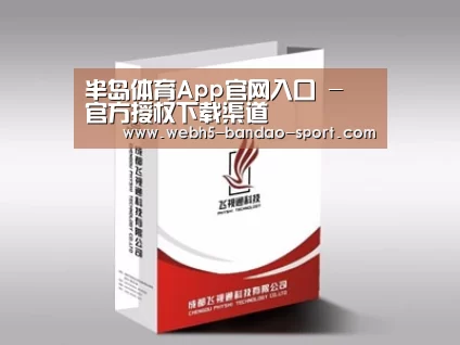 项目名称十三