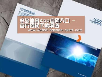 项目名称十