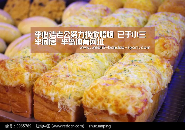 李心洁老公努力挽救婚姻 已于小三半同居-半岛体育网址(图2) 半岛体育网址