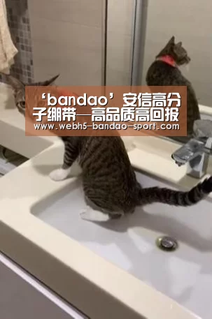 ‘bandao’安信高分子绷带—高品质高回报(图3) 半岛体育下载