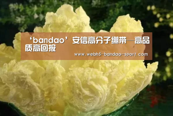 ‘bandao’安信高分子绷带—高品质高回报(图2) 半岛体育网址