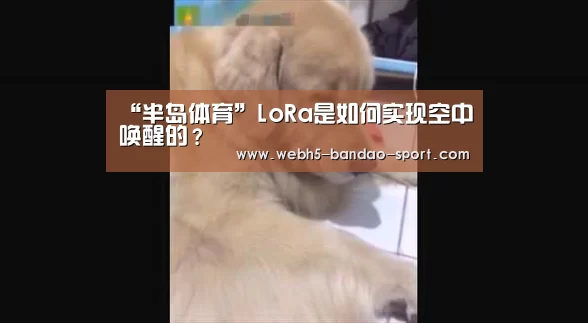 “半岛体育”LoRa是如何实现空中唤醒的?(图2) 半岛体育下载