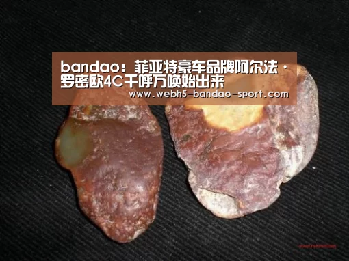 bandao:菲亚特豪车品牌阿尔法·罗密欧4C千呼万唤始出来(图2) bandao:菲亚特豪车品牌阿尔法·罗密欧4C千呼万唤始出来(图2)