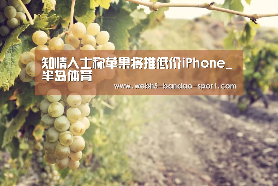 知情人士称苹果将推低价iPhone_半岛体育(图2) 知情人士称苹果将推低价iPhone_半岛体育(图2)