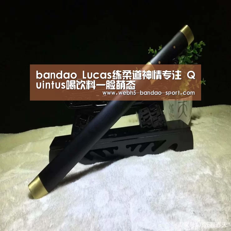 bandao_Lucas练柔道神情专注 Quintus喝饮料一脸萌态(图1) 半岛体育官网