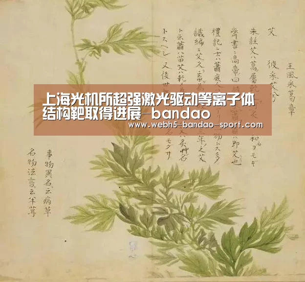上海光机所超强激光驱动等离子体结构靶取得进展-bandao(图3) 半岛体育下载