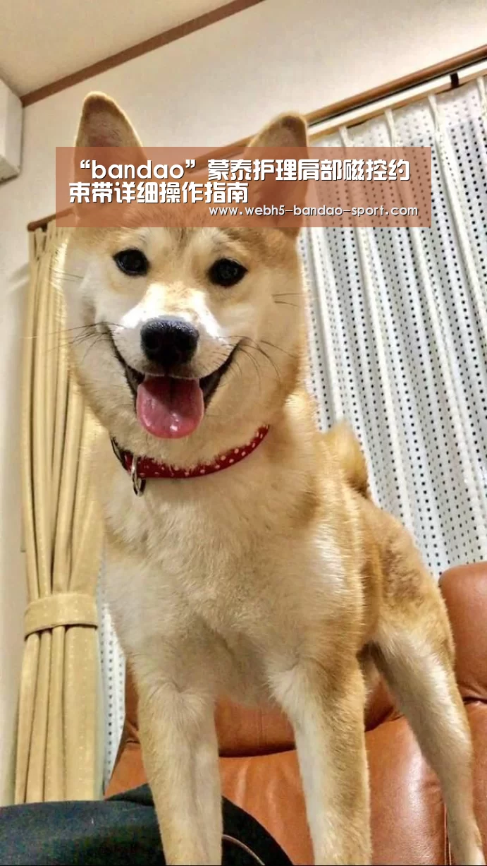 “bandao”蒙泰护理肩部磁控约束带详细操作指南(图2) “bandao”蒙泰护理肩部磁控约束带详细操作指南(图2)