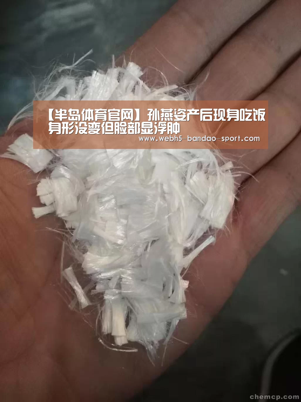 【半岛体育官网】孙燕姿产后现身吃饭 身形没变但脸部显浮肿(图1) 半岛体育下载