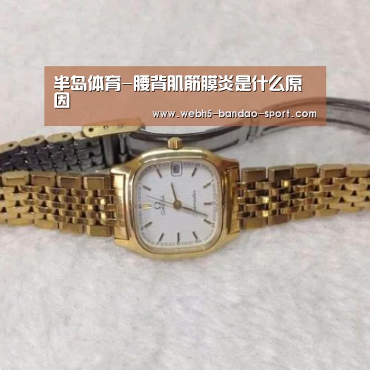 半岛体育-腰背肌筋膜炎是什么原因(图3) 半岛体育-腰背肌筋膜炎是什么原因(图3)