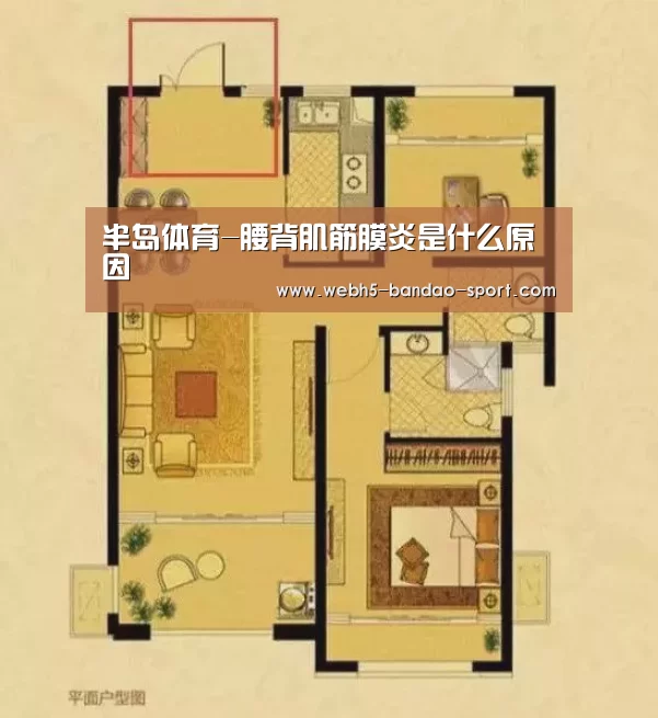 半岛体育-腰背肌筋膜炎是什么原因(图2) 半岛体育官网