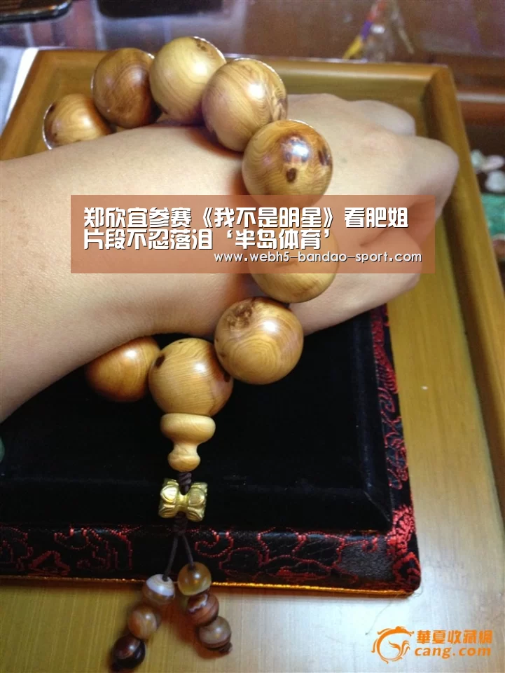 郑欣宜参赛《我不是明星》看肥姐片段不忍落泪‘半岛体育’(图1) 郑欣宜参赛《我不是明星》看肥姐片段不忍落泪‘半岛体育’(图1)