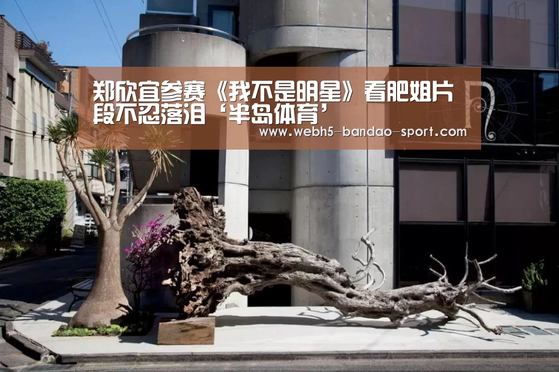 郑欣宜参赛《我不是明星》看肥姐片段不忍落泪‘半岛体育’(图2) 半岛体育下载