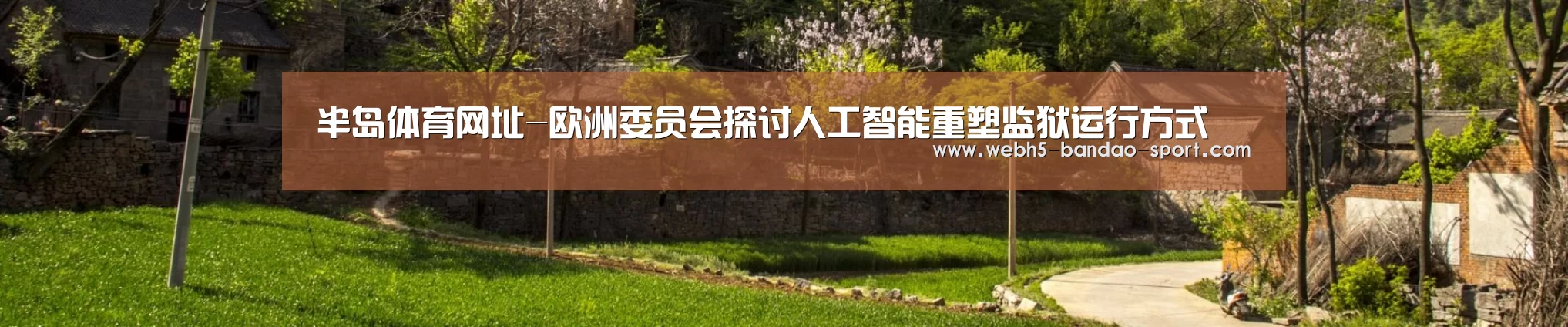 半岛体育