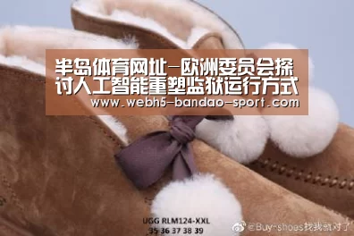 半岛体育官网