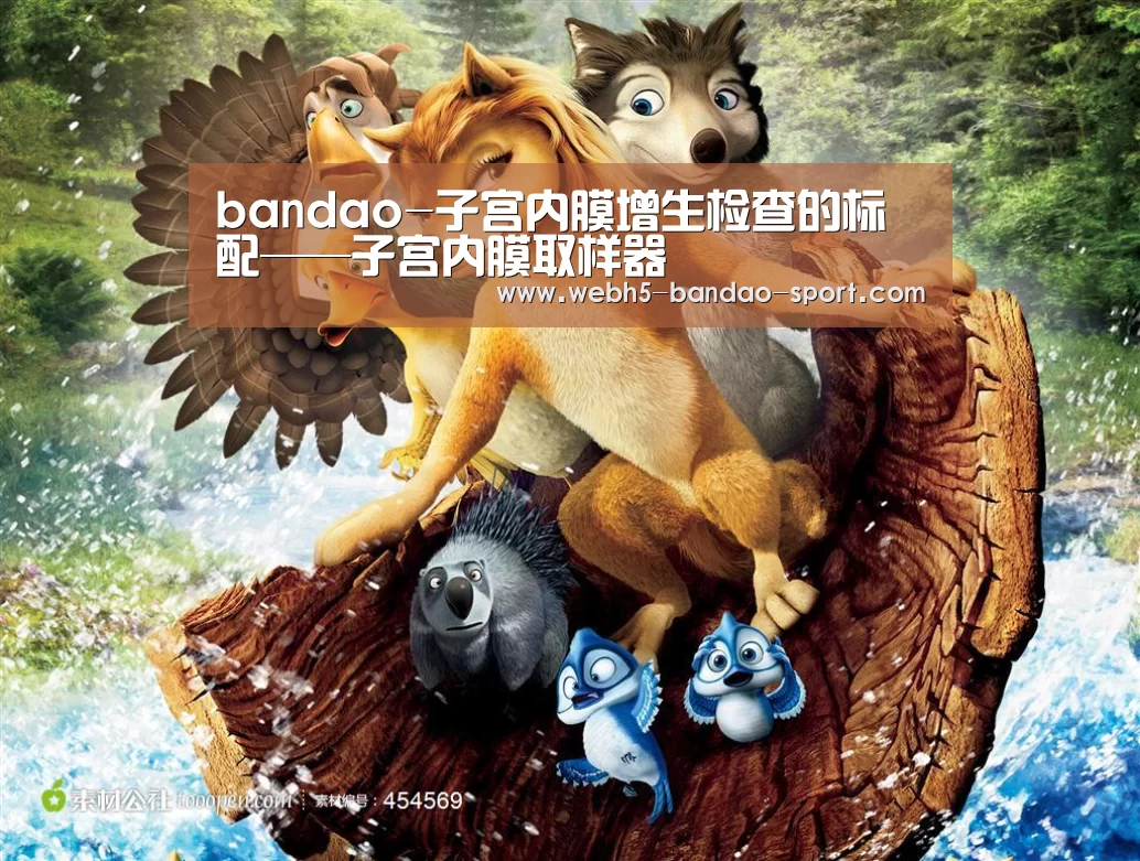 bandao-子宫内膜增生检查的标配——子宫内膜取样器(图2)