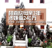 林嘉欣母亲3年涉嫌骗240万 否认母女关系决裂【半岛体育下载】(图2) 半岛体育官网