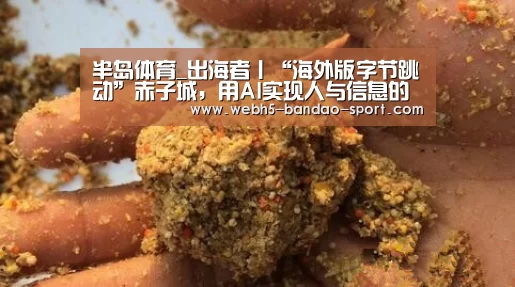 半岛体育_出海者丨“海外版字节跳动”赤子城,用AI实现人与信息的精准连接(图3) 半岛体育官网