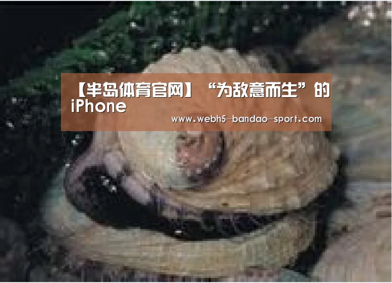 半岛体育